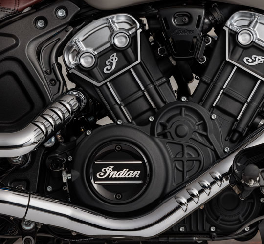 95 ló. Szabadjára engedve